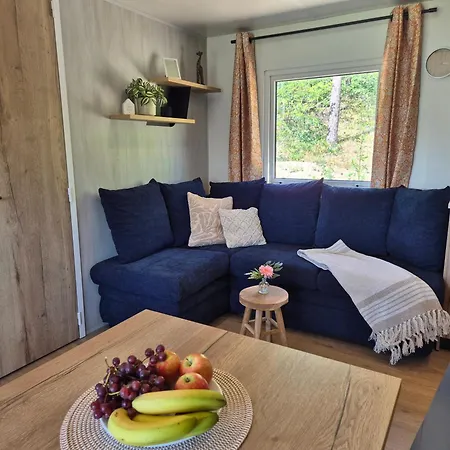 Chalet Bosrand 21 - Hondvriendelijk 6-pers chalet afsluitbaar terras en uitzicht op meer * Nunspeet