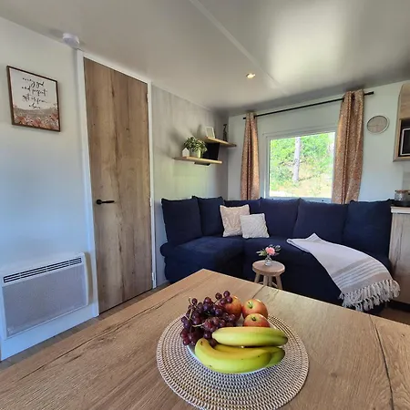 Camping Chalet Bosrand 21 - Hondvriendelijk 6-pers chalet afsluitbaar terras en uitzicht op meer Nunspeet